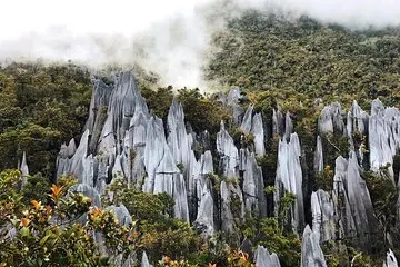 Parc national du Gunung Mulu