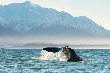 Kaikoura