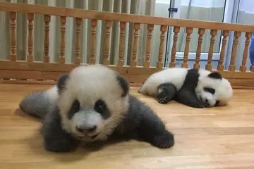 Chengdu