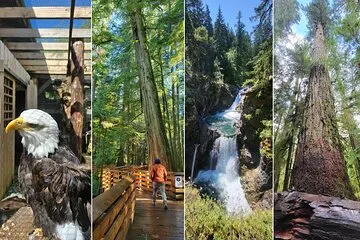 Port Alberni