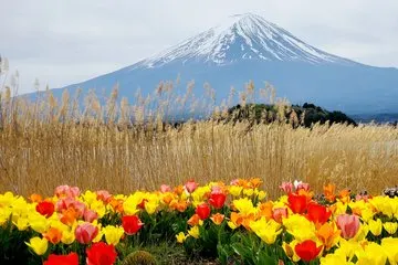 Japon