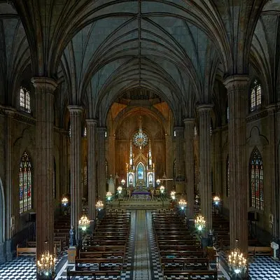 Visita guidata della storica Basilica di San Sebastian (Manila) | voooya