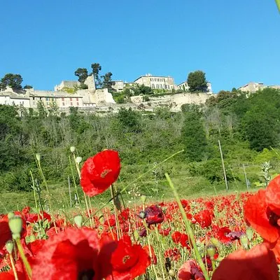 Tour privato personalizzato di mezza giornata attraverso la Provenza | voooya