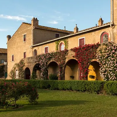 Wine Tour Bolgheri Excursión en tierra de medio día desde el puerto de Piombino | voooya