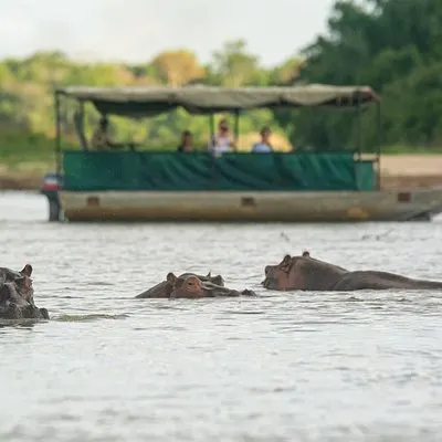 Pilote Selous Game Reserve de 3 jours au départ de Dar es Salaam | voooya