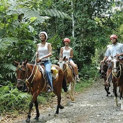 Tour a cavallo del Parco Nazionale Manuel Antonio | voooya