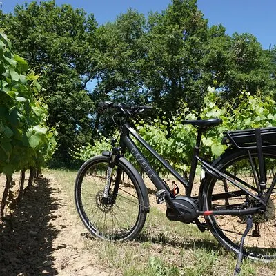 Noleggio E-Bike per un'intera giornata nel Luberon | voooya