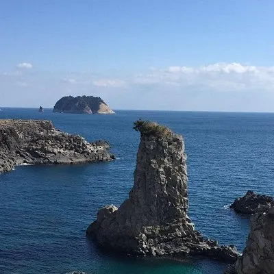 Handam Coastal Road y Camellia Hill: tour privado al oeste de Jeju | voooya
