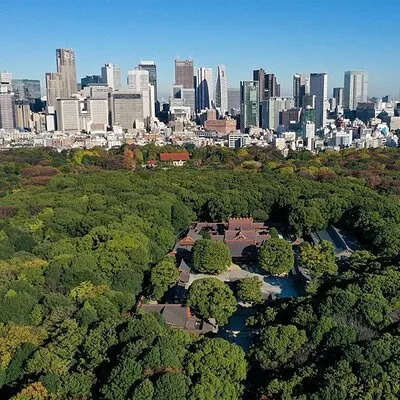 Tokyo: Helgedomsvandringstur i Meiji – Shintoism och kejsarsystem | voooya