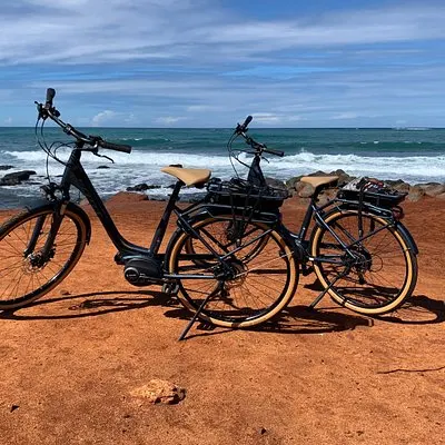 Visite en vélo électrique de Maui sur la Côte Nord des plages cachées | voooya