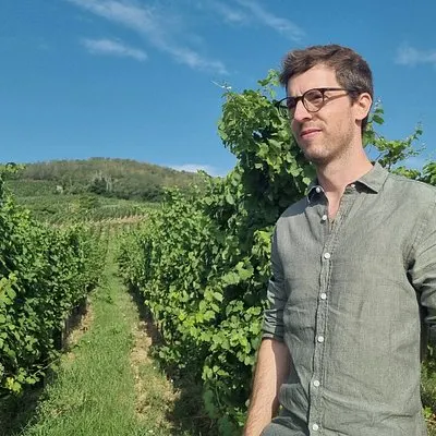 Orschwihr : Guide vignes, cave et dégustation 6 vins d'Alsace | voooya