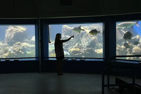 Generel adgangsbillet til Coral World Ocean Park