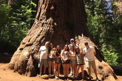 Off Road Giant Sequoia 4x4 Tour Parque Nacional de Yosemite
