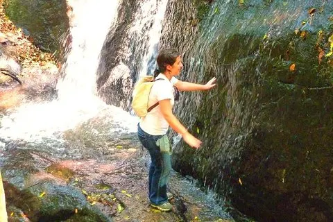 Ekologisk promenad i sao paulo