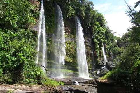 Excursión de 4 días por la selva al Amazonas desde Bogotá