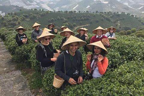 Privat Tour-Yangshuo Seven Fairies Peak teplantage och Xianggong hill