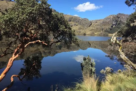 Cajas enthüllt: Eine halbtägige Flucht aus Cuenca