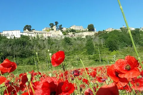 Anpassad halvdags privat tur genom Provence | voooya