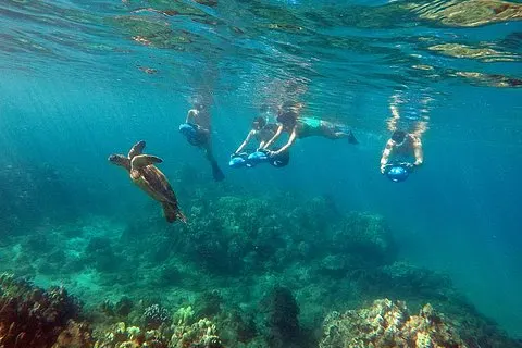 Tour de plongée en scooter de mer avec photo et vidéo - Wailea Beach | voooya