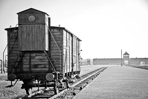 Auschwitz - Excursion d'une journée complète au départ de Varsovie en voiture privée | voooya