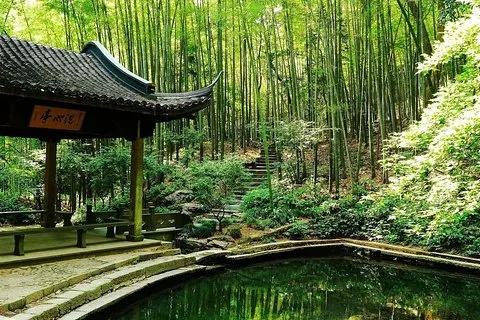 茶園体験のYunxi竹林と西湖プライベートツアー