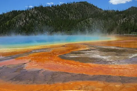 Parc national de Yellowstone - Visite privée d'une journée complète de la boucle inférieure au départ de Jackson Hole