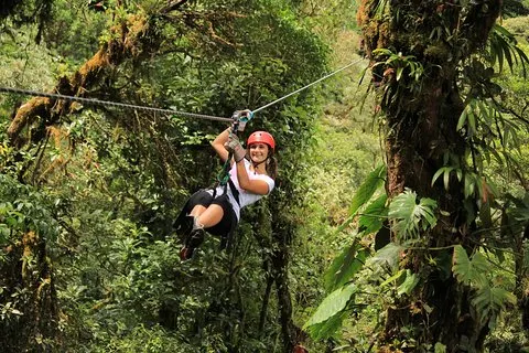 Circuit « Tyrolienne et ponts suspendus dans la canopée de la forêt tropicale » au départ de Monteverde