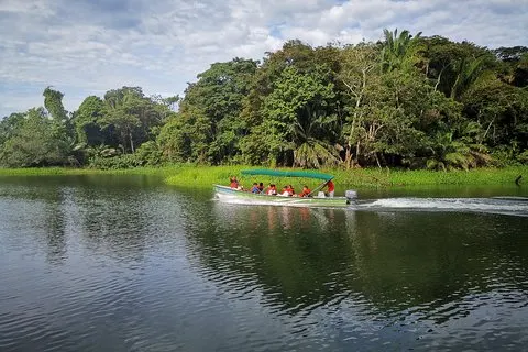 Monkey & Sloth Panama Canal Boat Safari mit Casco Viejo Brunch