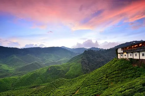 Cameron Highlands para Kuala Lumpur