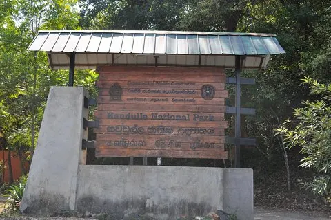 Bilhete de entrada para o Parque Nacional Kaudulla com Safari Privado