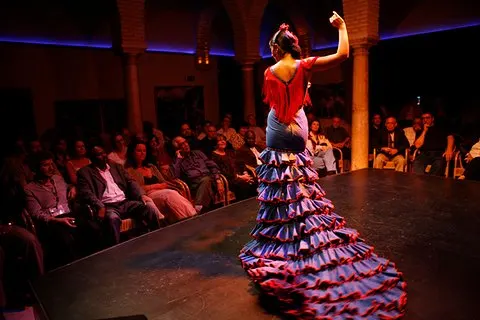 Sevilla : Puro Flamenco Show - Museo del Baile Flamenco