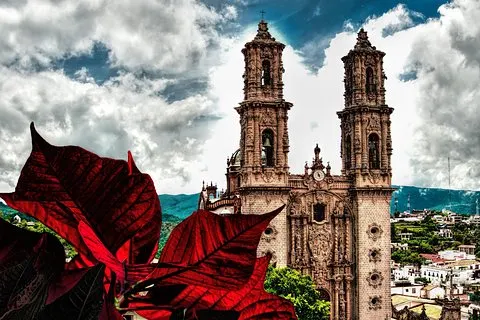 Magie Taxco, tout en un