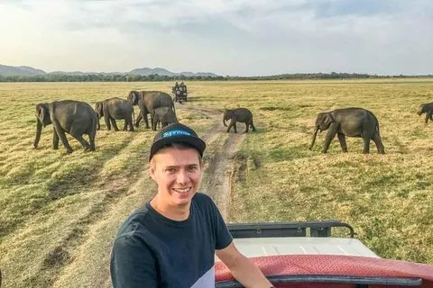 Halvdag Minneriya National Park Safari från Dambulla