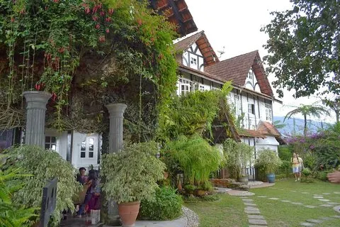 Cameron Highlands: Excursão Mossy Forest