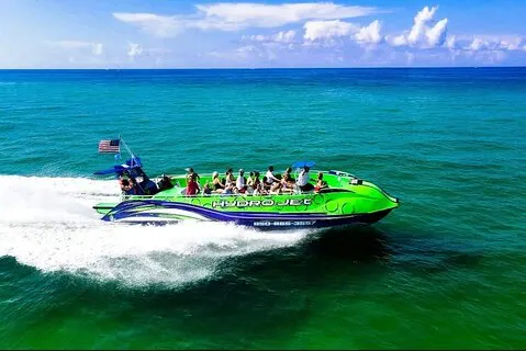Cruzeiro de golfinhos em Destin FL