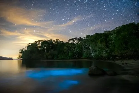 Excursion en kayak bioluminescent