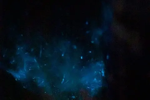 Tour de bioluminescence au coucher du soleil en bateau