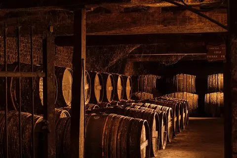 Private Tour Cognac House in Segonzac mit Verkostung