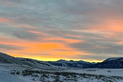 Visite privée de la faune en soirée / au coucher du soleil