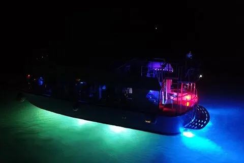 Croisière Triangle du Crépuscule aux Bermudes