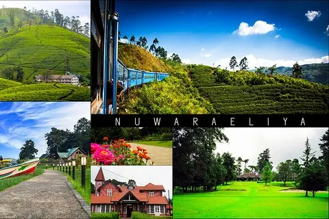Excursão de um dia Kandy to Nuwara Eliya – Little England & Tea Country