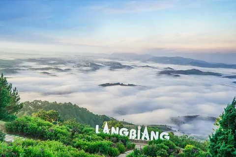 Da Lat Ganztagestour mit Langbiang Mountain, Datanla Wasserfall, Crazy House | voooya