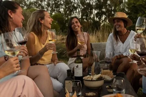 Visite de 3 domaines viticoles (dont El Enemigo) + déjeuner et transport privé