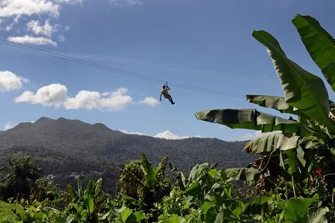 El Yunque Ziplining i Puerto Rico