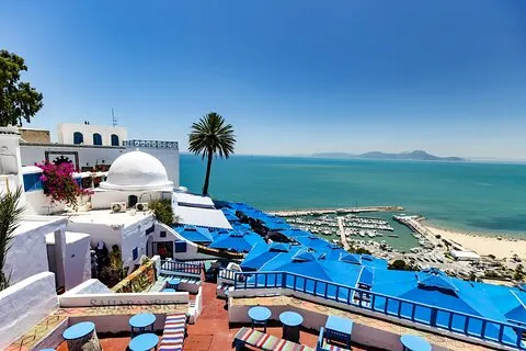 Kartago, Bardo Museum, Sidi Bou Said och Medina privat dagstur