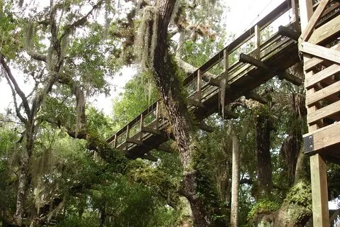 Safari in bici elettrica del Myakka State Park