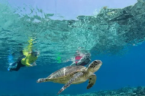 Silverswift 3 Great Barrier Reef steder på 1 dag fra Cairns