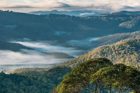 Hoppa på hoppa av-buss - Tamborine Mountain från Gold Coast