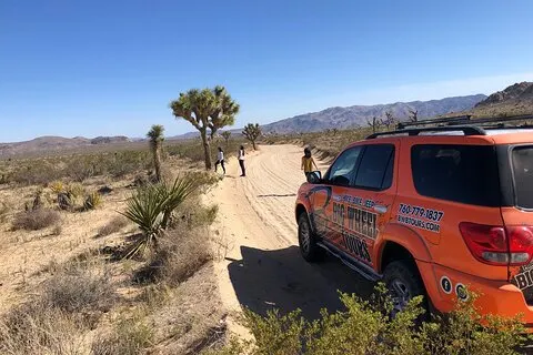 Excursão Offroad ao Parque Nacional Joshua Tree