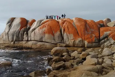 7-dagars Super Value Tour i Tasmanien: Utforska Tasmanias väst- och östkusten | voooya